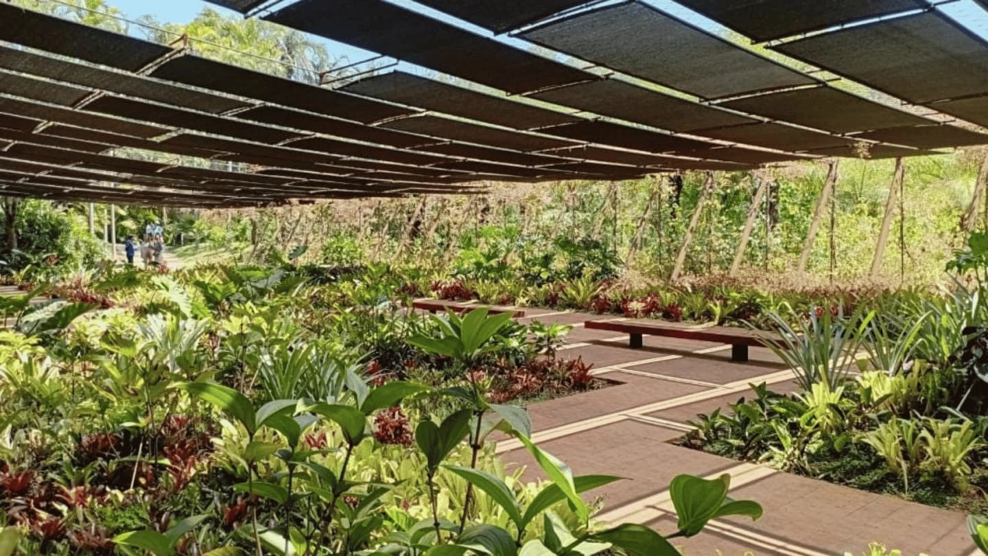Tour al Instituto Inhotim desde Belo Horizonte