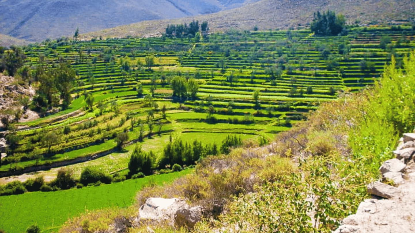La ruta del Loncco desde Arequipa
