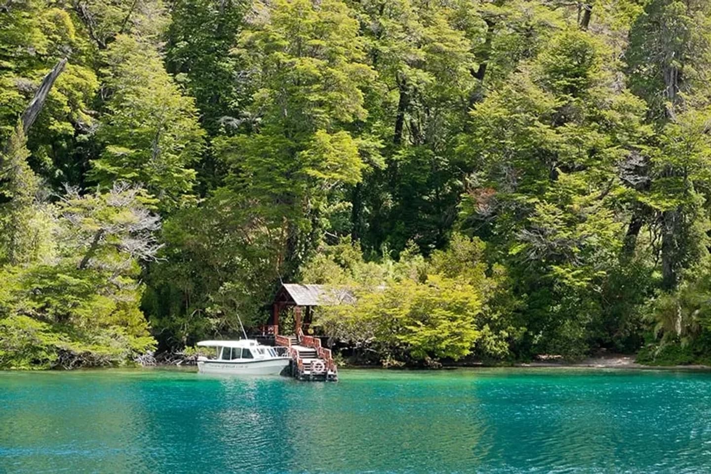 Navegación Lago Menéndez y Trekking al Bosque de Alerces Milenarios