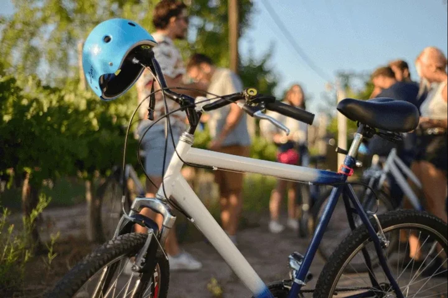 Self-Guided Winery Bike Tour