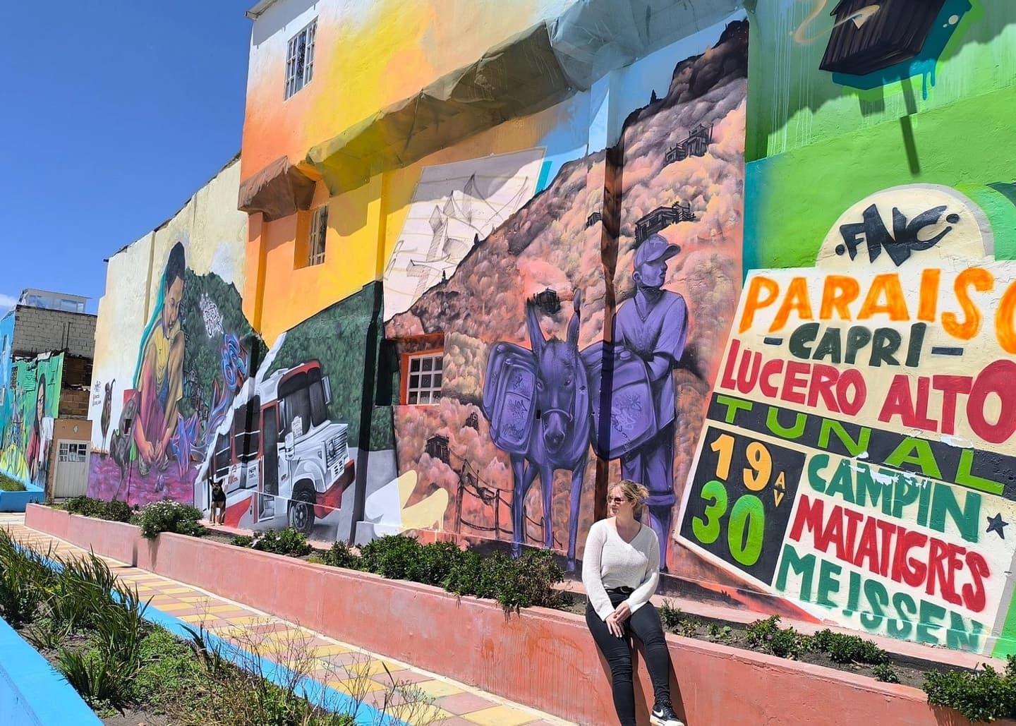 Barrios de Bogotá: Tour por El Paraíso en Teleférico con Pickup