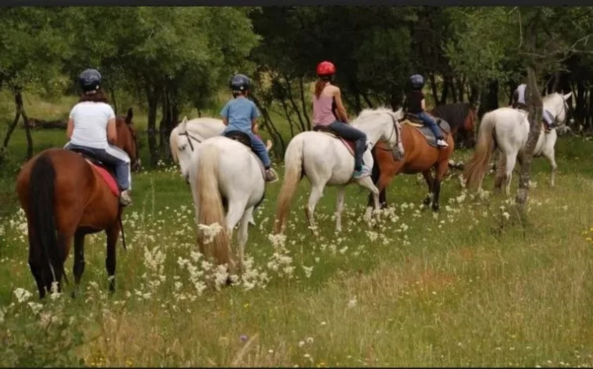Cabalgata Amigos del Jaguar Iguazu