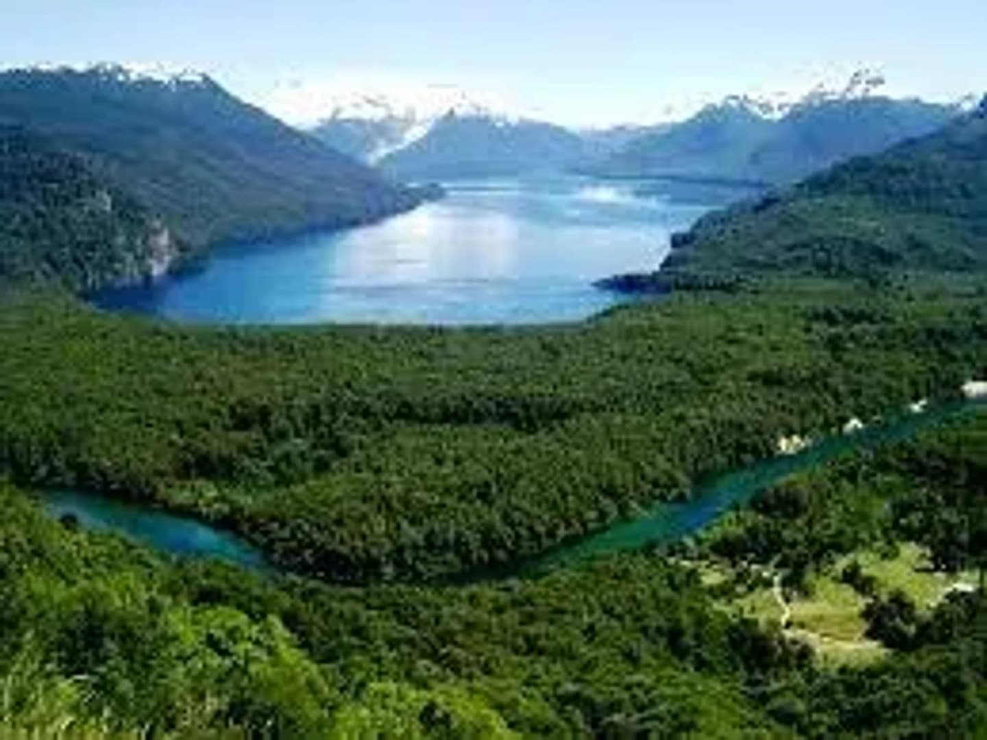 Excursión al Parque Nacional Los Alerces desde Trevelín