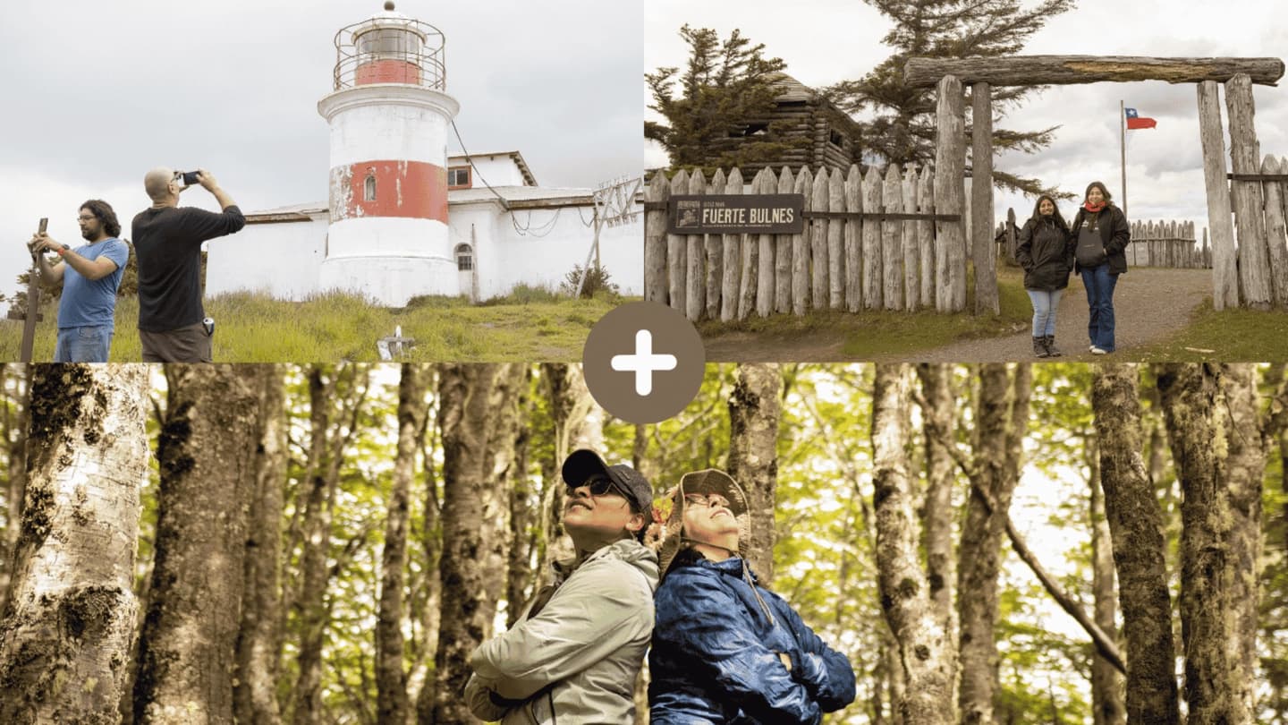 Tour Reserva Magallanes, Fuerte Bulnes y Faro San Isidro desde Punta Arenas