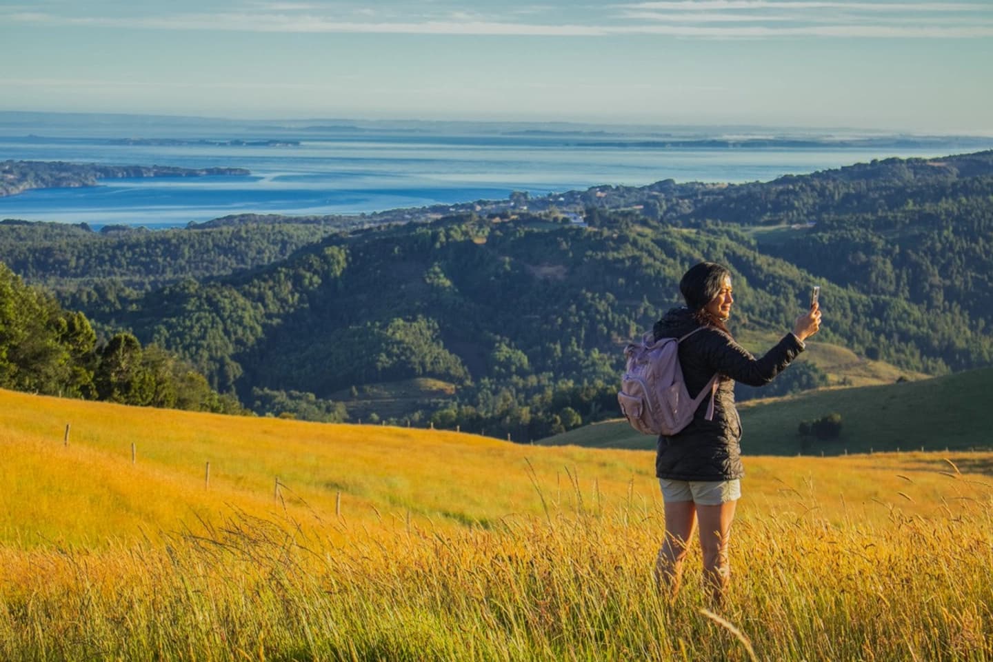 Explora los secretos de Chiloé en el Parque Mawünko: Caminata guiada
