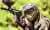 Paintball en Xtreme Park en Mendoza Outdoor