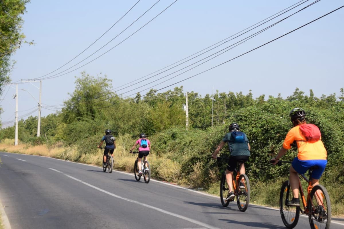 Arriendo de Bicicletas en el Cajón del Maipo: Explora a tu Ritmo