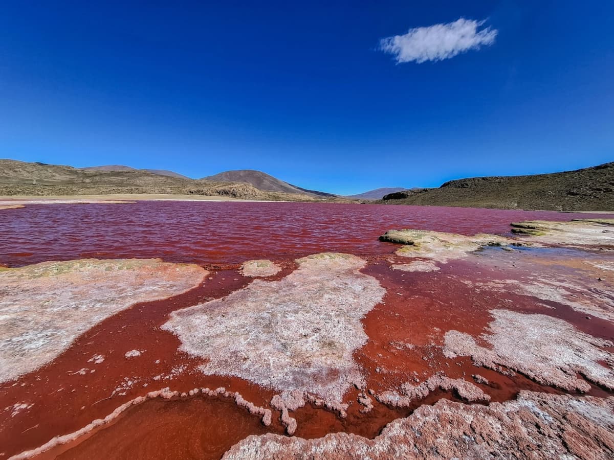 Laguna Roja y Petroglifos de Chillaiza: Aventura de Día Completo