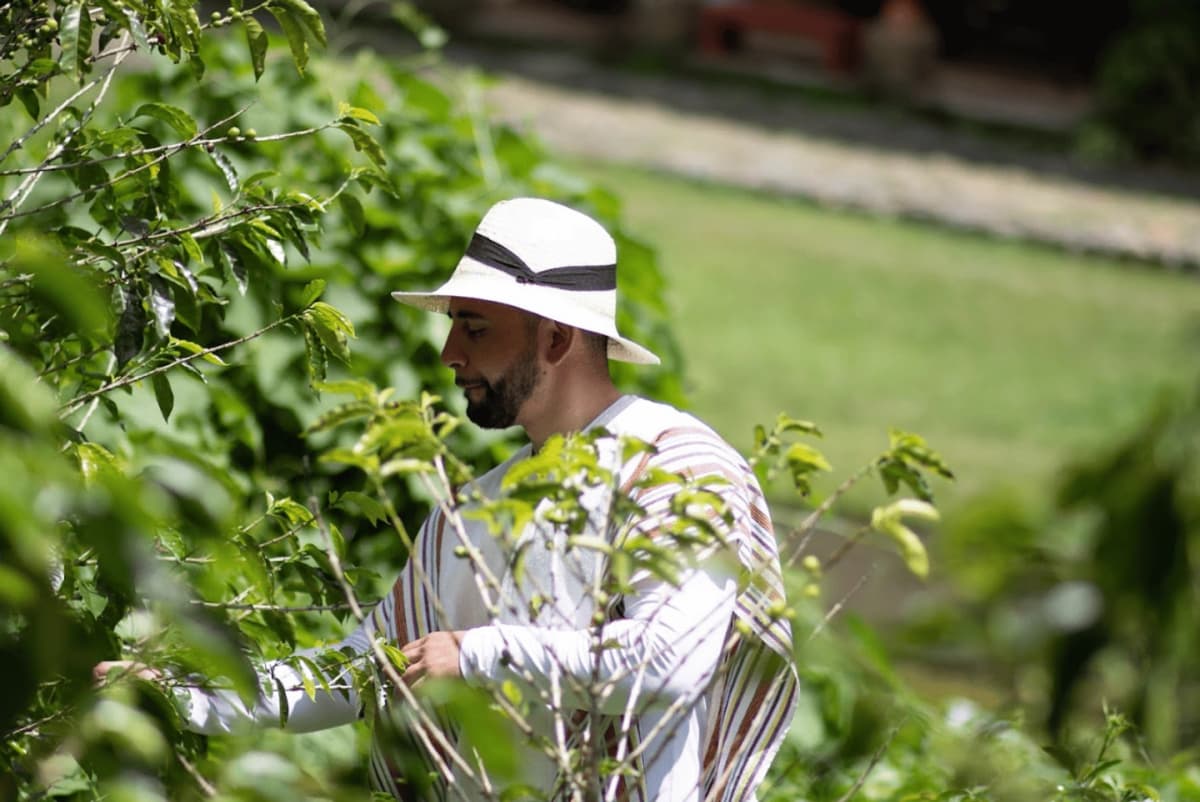 Tour de Café en Finca Tradicional desde Medellín a Santa Elena