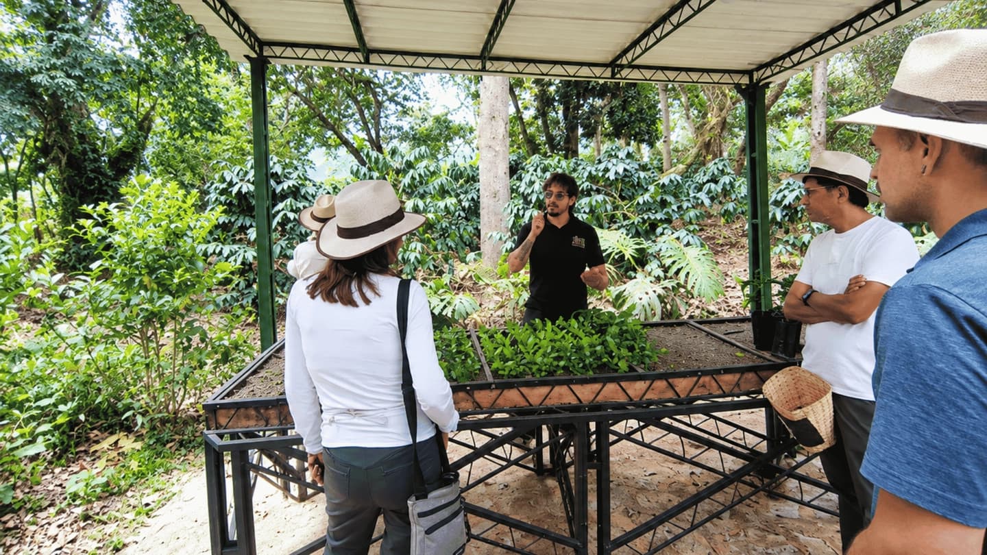 Tour del café y el ron en Fusagasugá