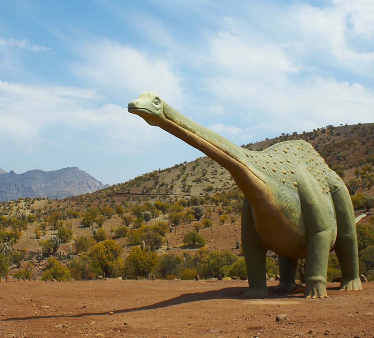 Entrada Monumento Natural Pichasca