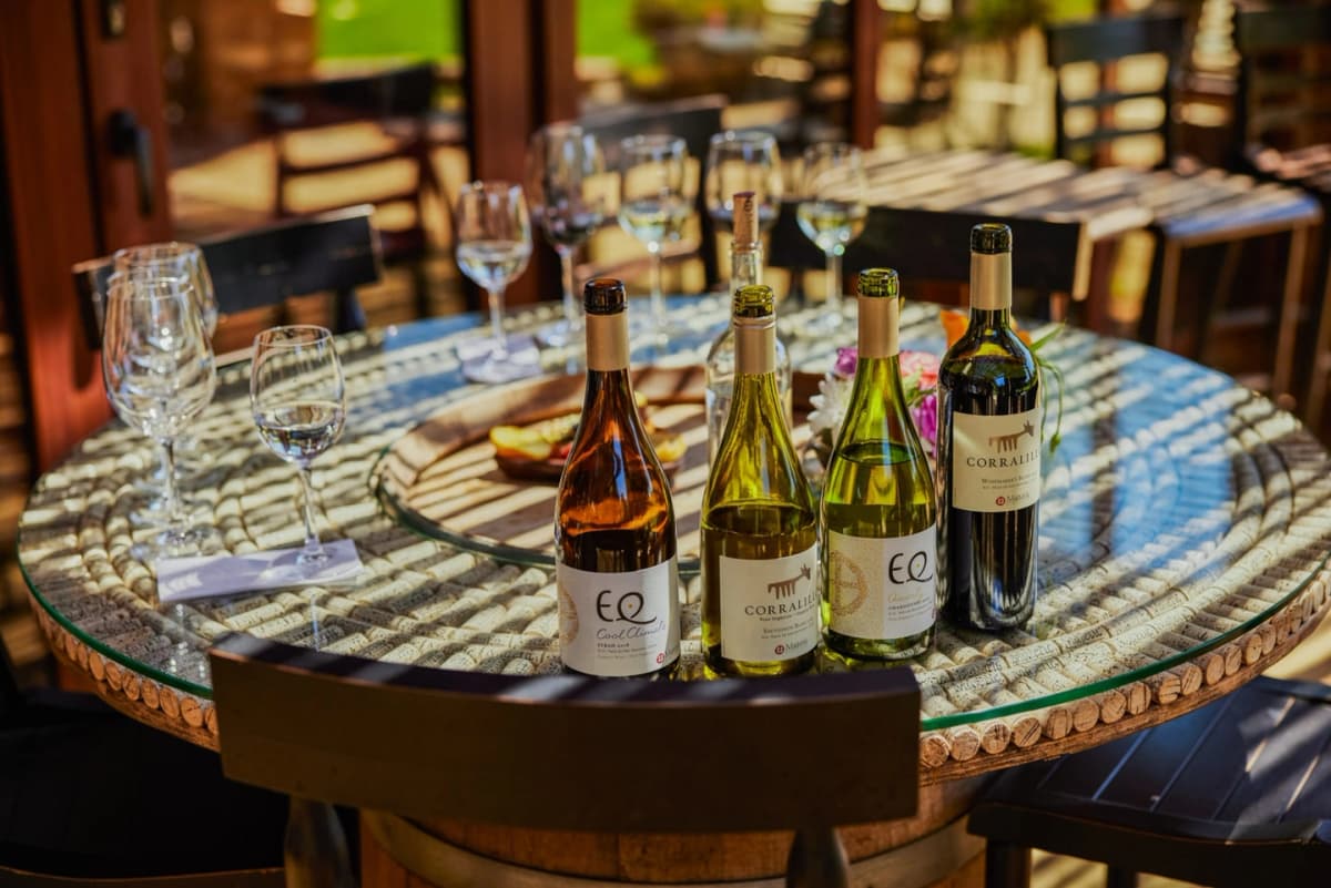 Degustación Premium en Viña Matetic: Una Experiencia de Sabores Únicos