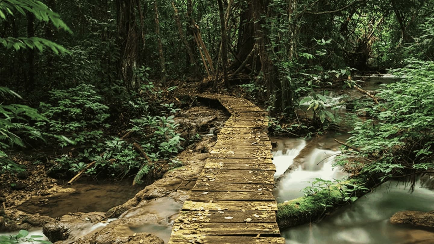 Rafting y sendero por la selva desde Palenque