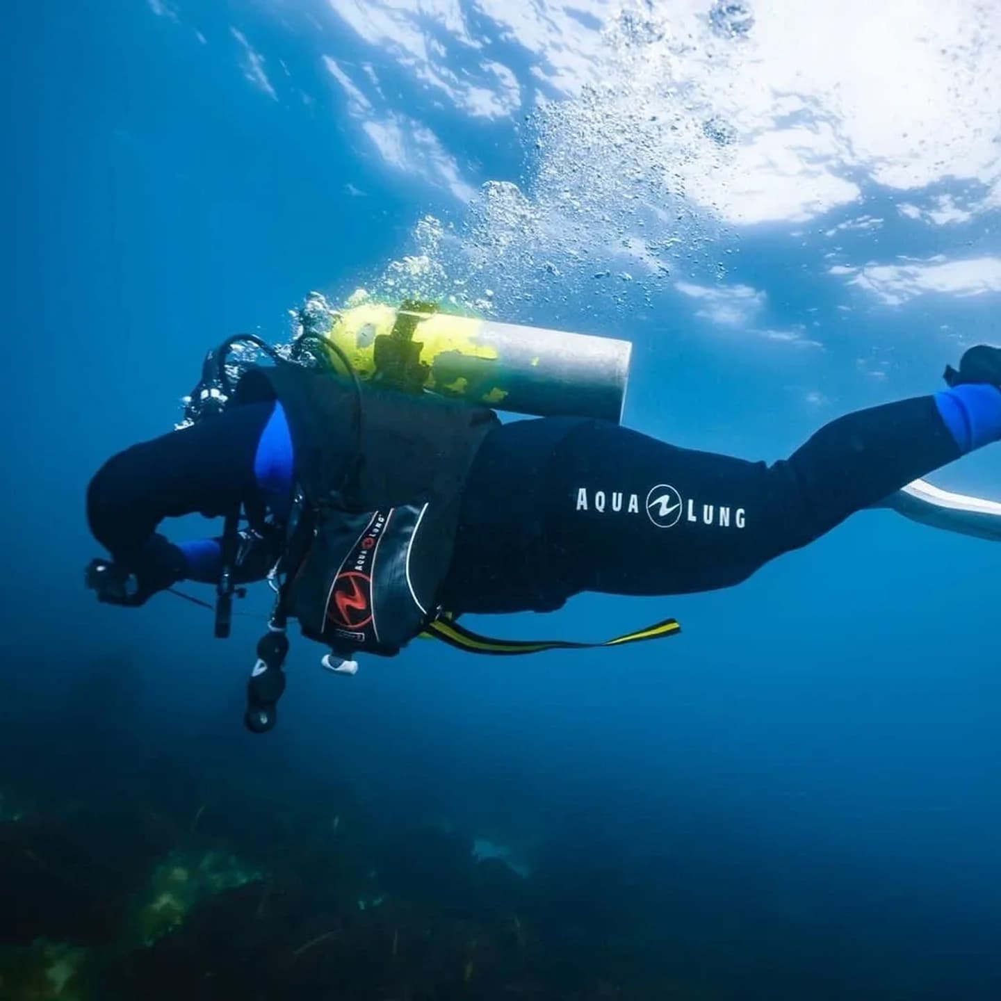 Buceo para brevetados en Puerto Pirámides