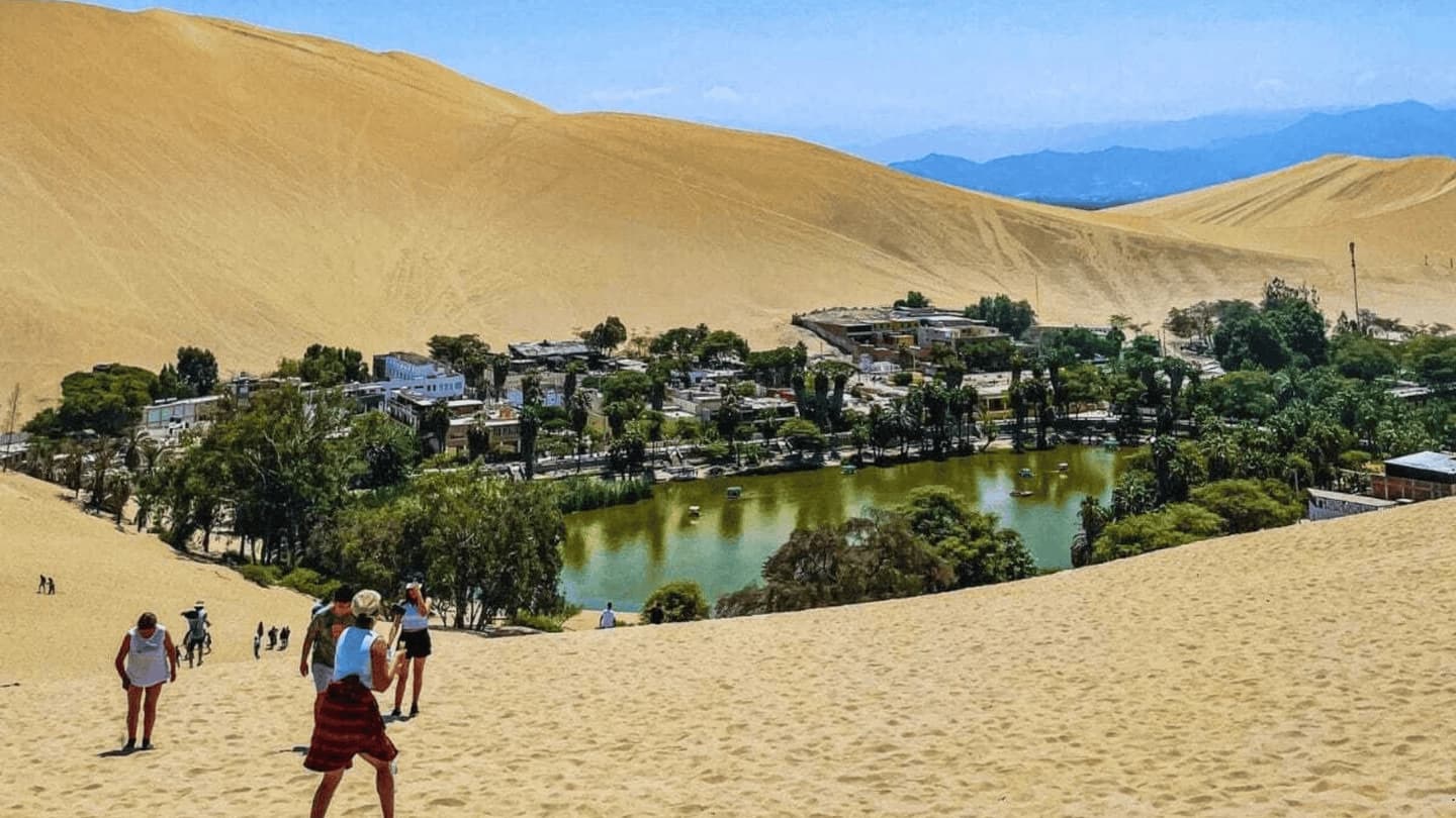 Full Day Paracas e Ica con Islas Ballestas y Huacachina desde Lima