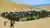 Full Day Paracas e Ica con Islas Ballestas y Huacachina desde Lima
