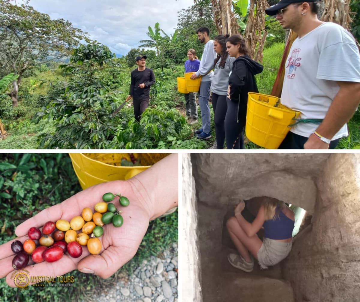 Tostado artesanal de café y recorrido por túnel histórico con cata guiada en Solento