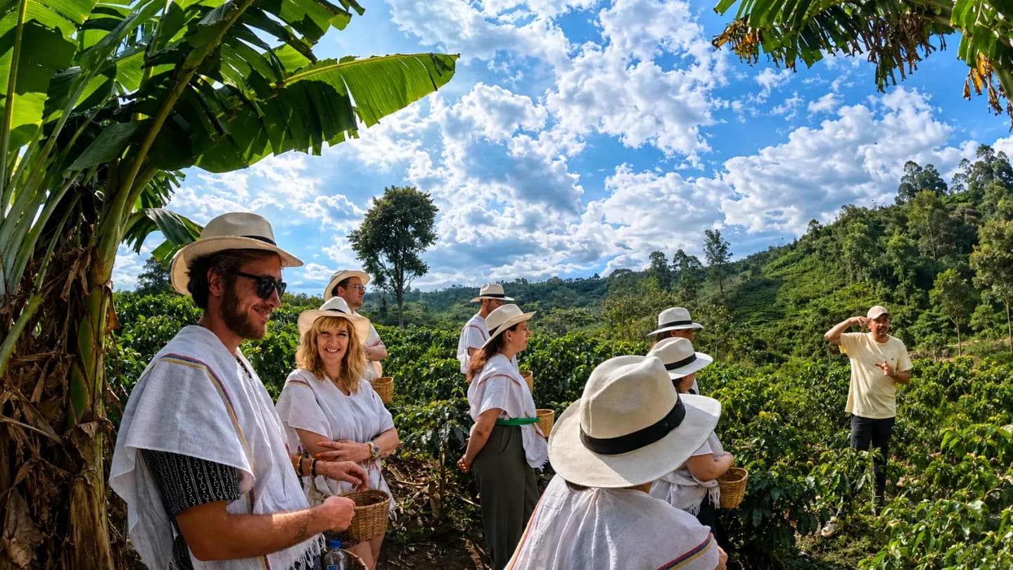Tour al Valle del Cocora y finca cafetera desde Salento