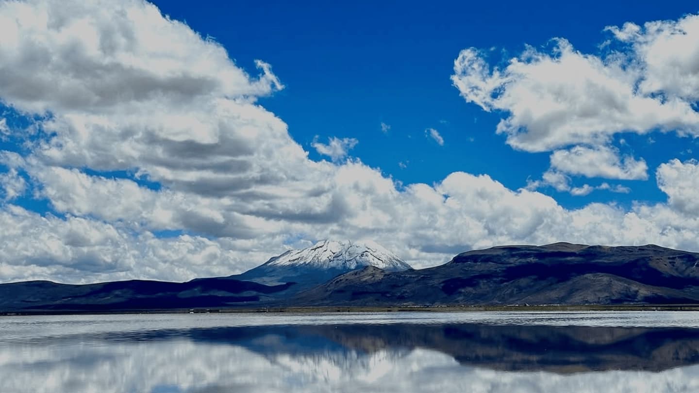 Tour to the Salinas Reserve from Arequipa