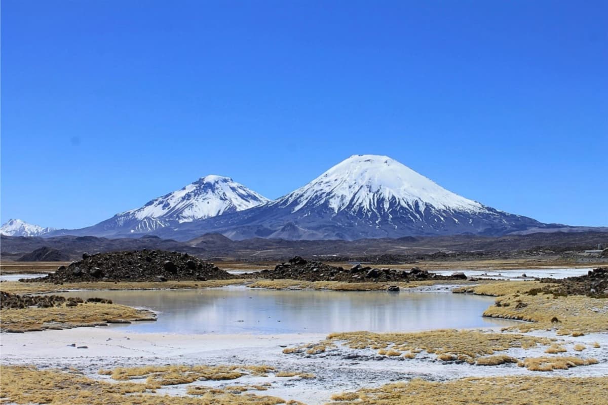 Tour Full Day a Parque Nacional Lauca desde Arica