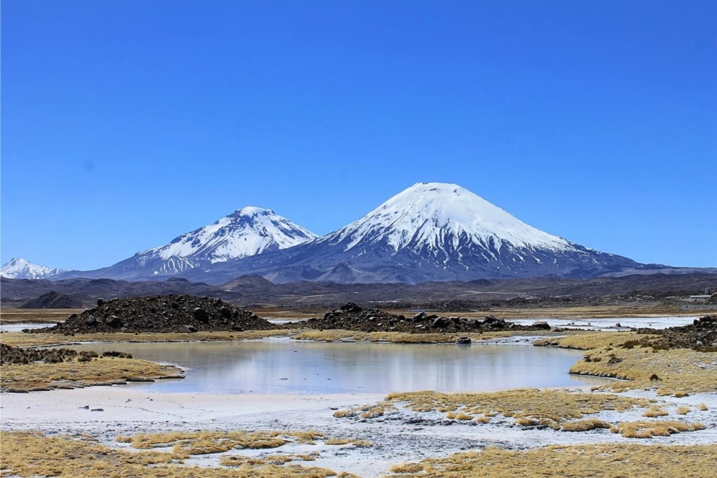 Tour Full Day a Parque Nacional Lauca desde Putre