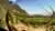 Excursión a Bodegas Familiares y Fábrica de Aceite de Oliva en Mendoza