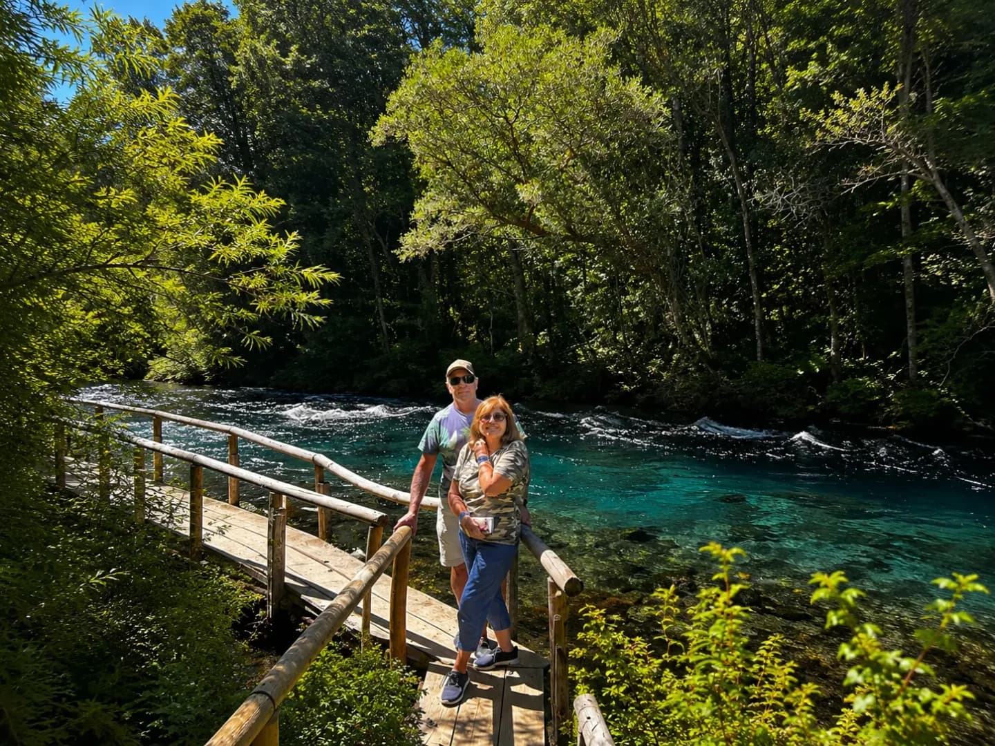 Tour por la Zona y Termas Pucón Indómito desde Pucón