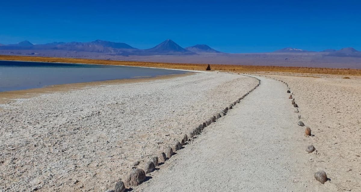 Vive el Salar de Atacama: Laguna Cejar y su Belleza Turquesa