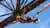 Salto Bungee Jumping en Cacheuta en Mendoza