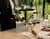 Visita Guiada Premium + Tasting Marqués de Casa Concha en Centro del Vino Concha y Toro