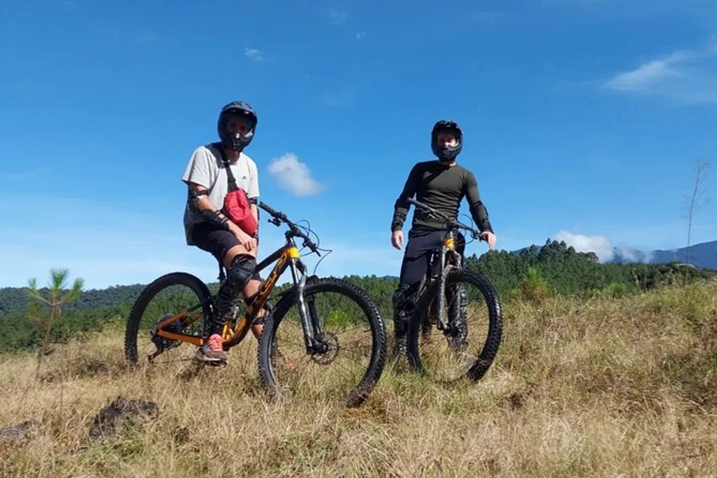 Tour en Bicicleta a La Carbonera: Bosque de Palmas de Cera desde Salento
