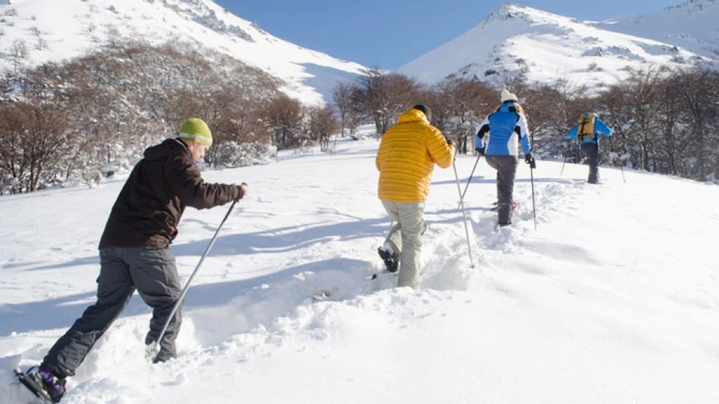 Caminata con Raquetas de Nieve a La Curva de los Guanacos en la Hoya
