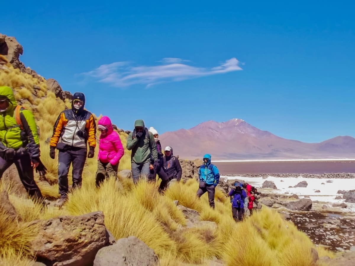 Ruta Altiplánica: Salar de Surire y Termas de Polloquere