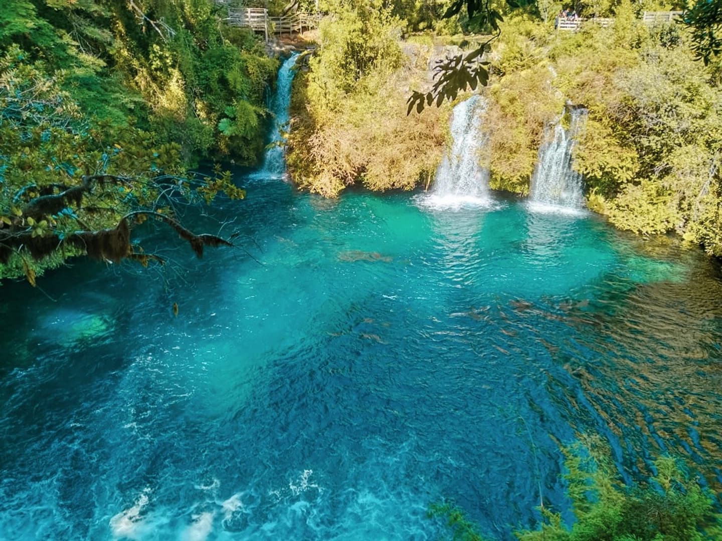 Excursión desde Valdivia a Ojos del Caburgua, Pucón y Villarrica