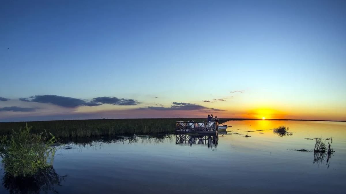 Excursión a los Esteros del Iberá en Corrientes