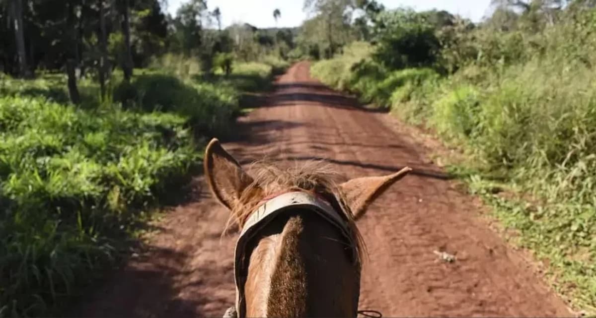 Cabalgata en la Selva y Comunidades Guaraníes
