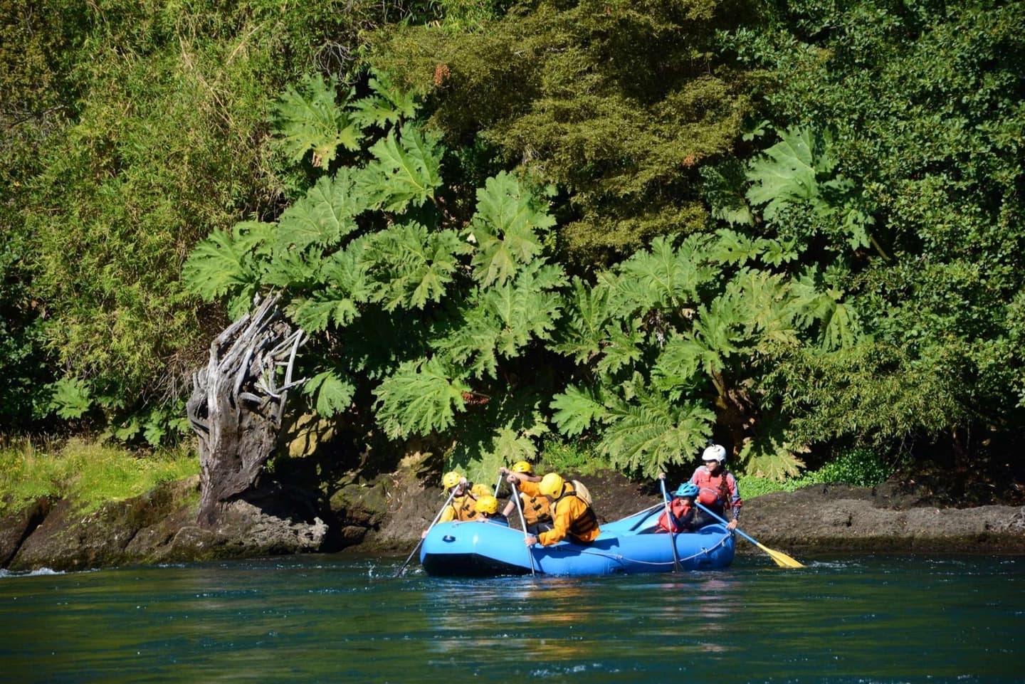 Family Rafting in Petrohué River: Waters of Southern Chile