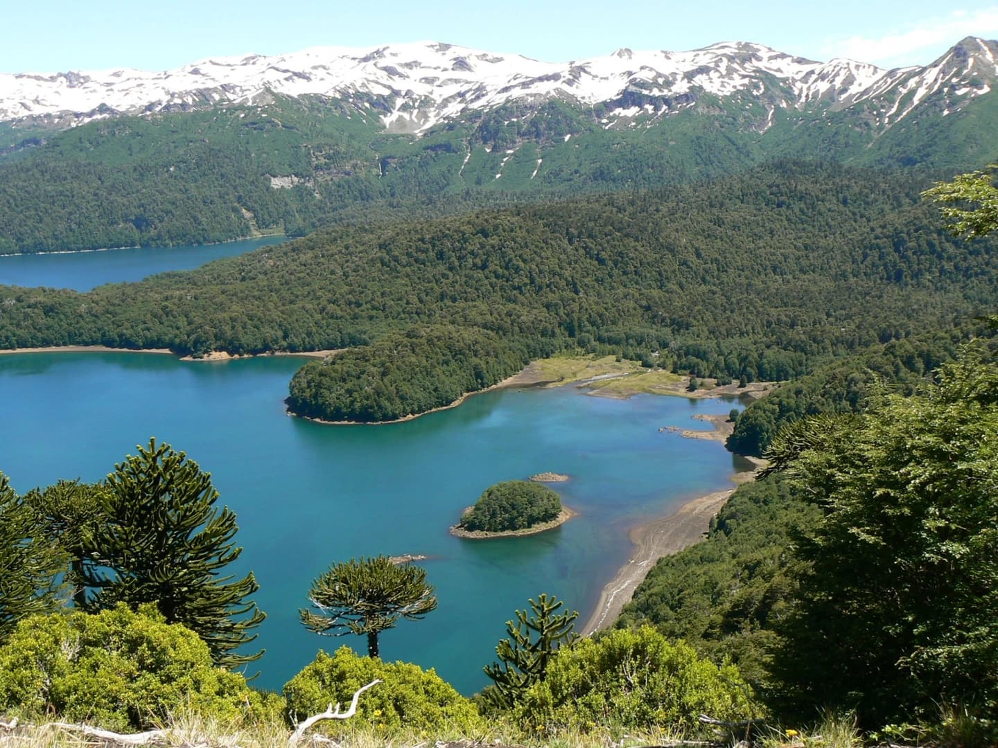 Descubre el Parque Nacional Conguillío y sus Impresionantes Lagunas