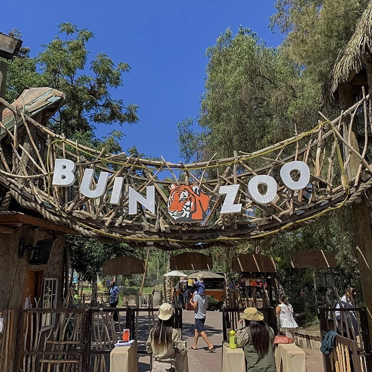 Excursión al Bioparque BuinZoo con traslado desde Santiago