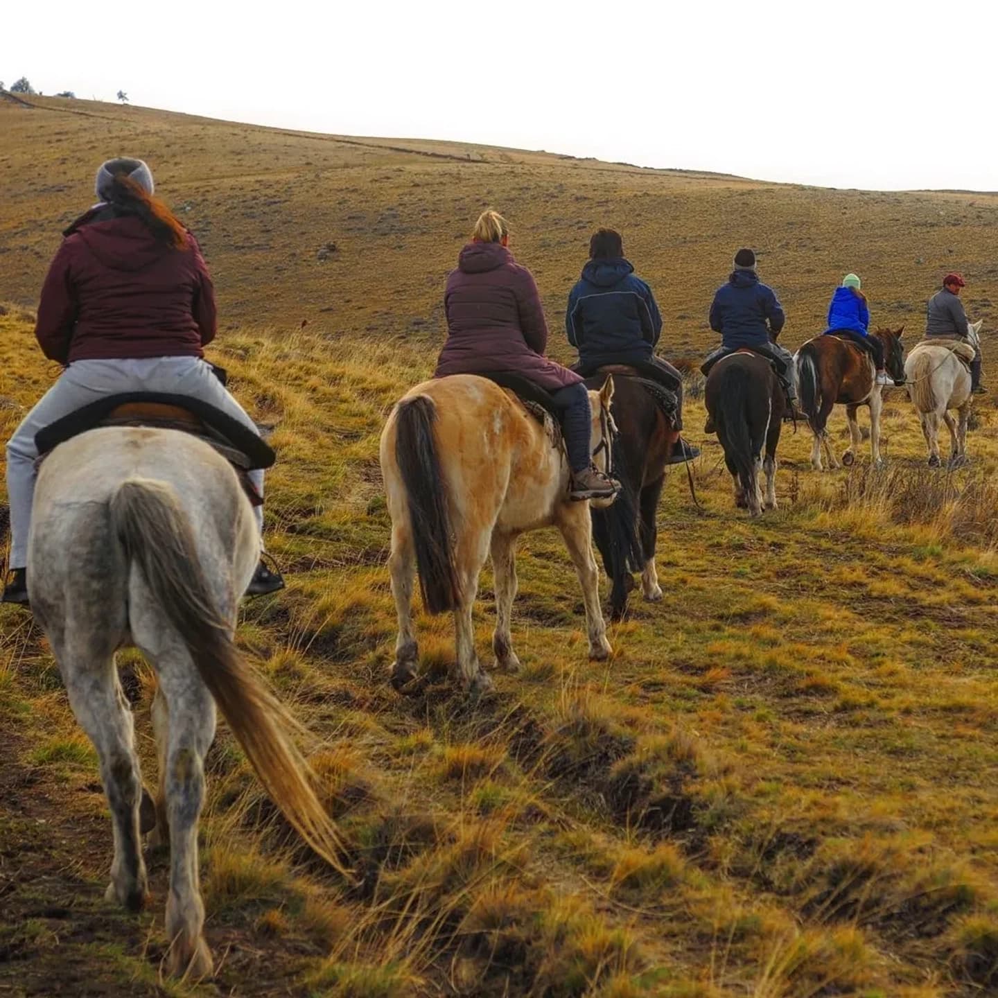 Horseback Riding on Cerro Frías with Snack in Calafate
