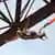 Bungee Jumping Jump in Cacheuta Mendoza