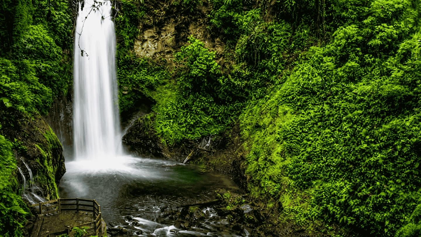 Tour en jardines de la Cascada de La Paz en Sarapiquí