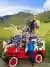 Tour al Valle del Cocora y Gran Cascada desde Salento
