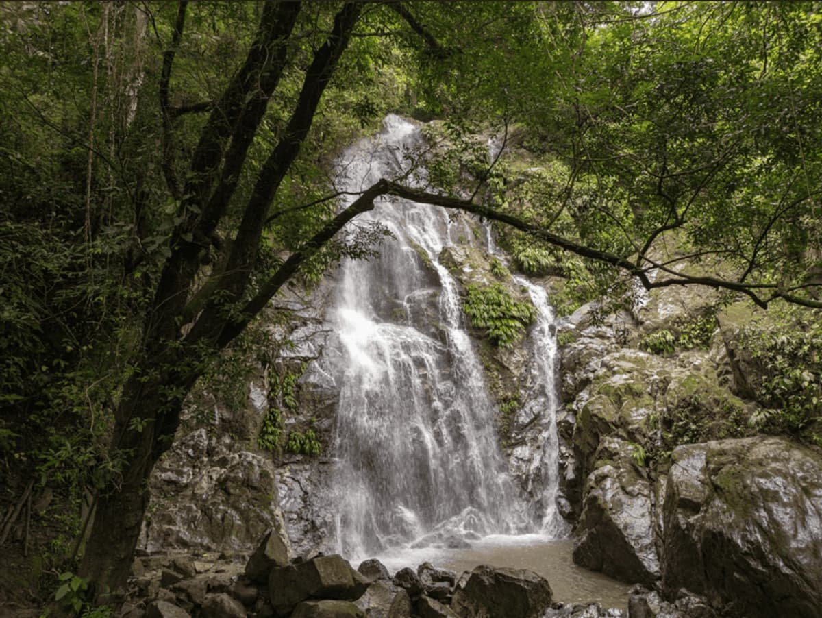 Tour de Café, Cacau e Cachoeira em Minca desde Santa Marta
