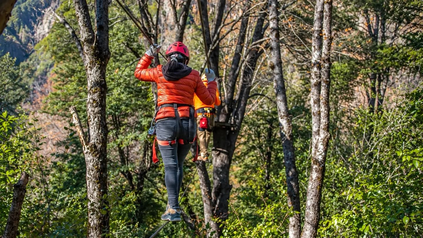 Canopy con puentes colgantes en Pinto