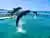Islas del Rosario and Playa Tranquila by boat with lunch