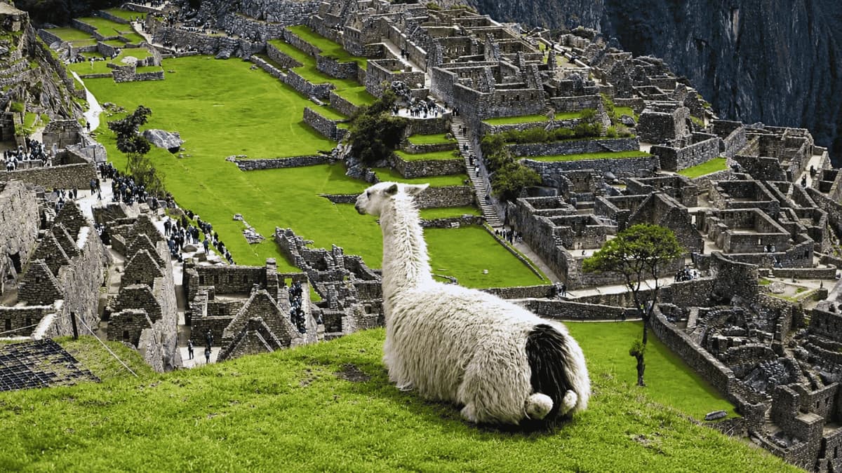 Machu Picchu sin entrada con transporte y guía desde Cusco