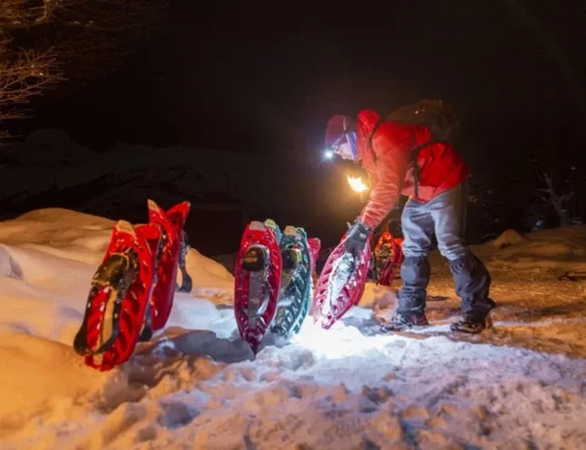 Trineos perros Husky, Raquetas de nieve y Cena en Nunatak en Ushuaia