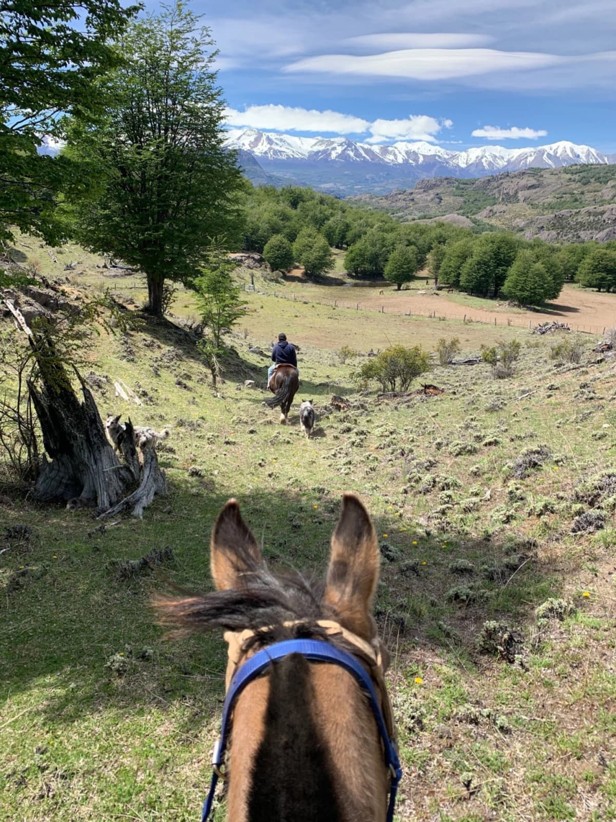 Cabalgata en la Patagonia: Explora la Cordillera del Cerro Castillo