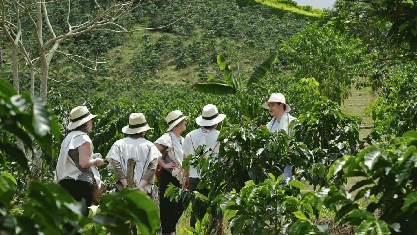 Tour de Café en Finca Productiva en Santa Rosa de Cabal desde Pereira
